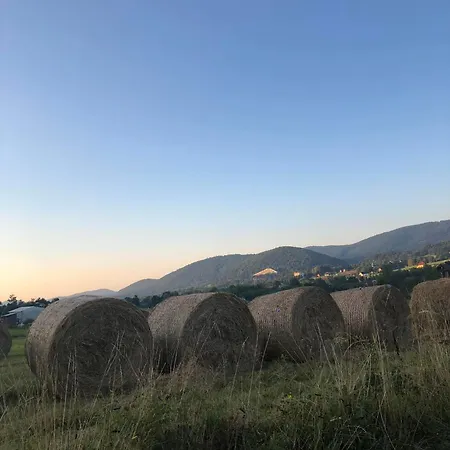 Jaworowe Wzgórze Dom wakacyjny *