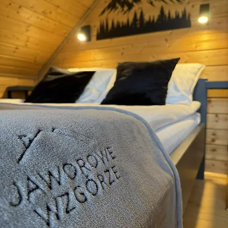 Jaworowe Wzgorze Tatil Evi